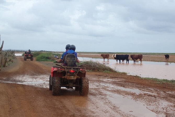 Curacao Half Day ATV East Adventure Tour - Aloe Vera Plantation and CureAloe: a farm stop that adds variety