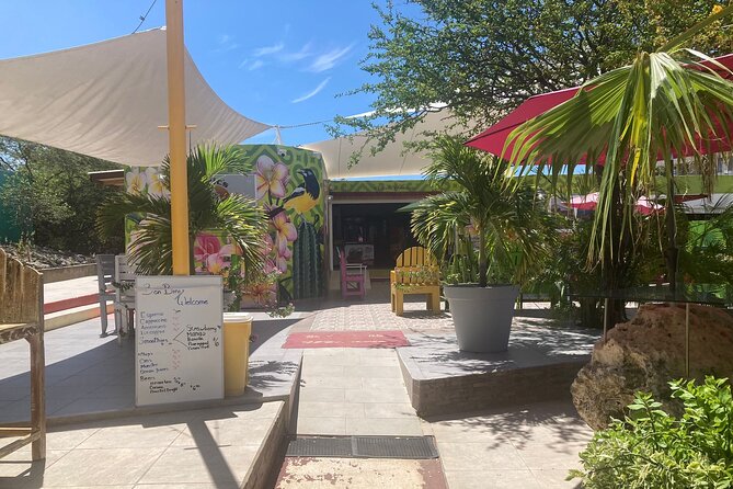 Curacao Half Day ATV East Adventure Tour - Ostrich Farm: animals, photos, and a quick slice of local life