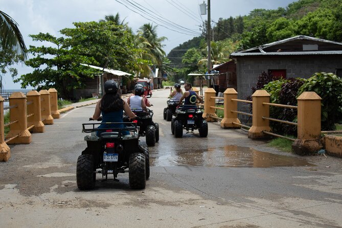 Day Tour in Roatan: ATV, Sloths, Monkeys and Zipline - Price and time: is $130 a fair deal for 4h40?