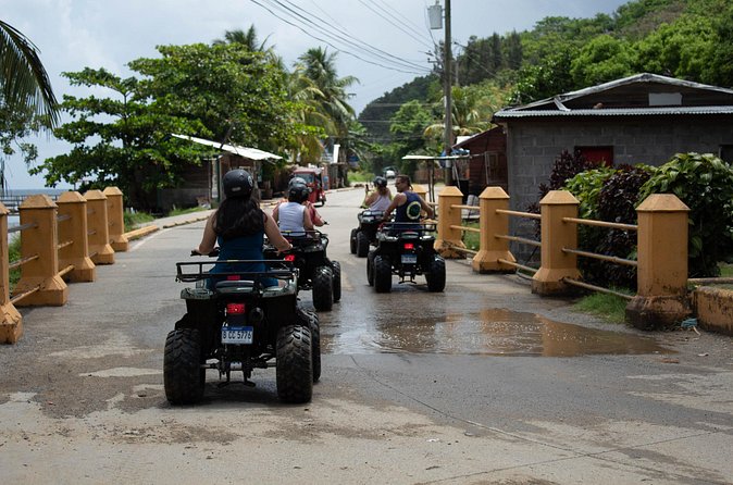 Day Tour in Roatan: ATV, Sloths, Monkeys and Zipline - Who this tour suits best (and who should reconsider)