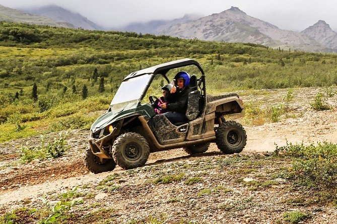 Denali ATV Trailblazer 3.5 Hour Tour - What You’ll See on the Trail: Creek Beds to Alaska Range Overlooks