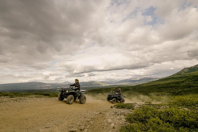 Denali ATV Trailblazer 3.5 Hour Tour - How Much Is $192.99, Really?