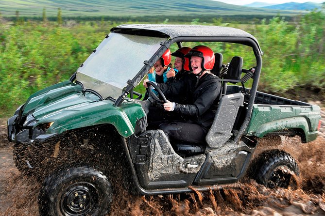 Denali ATV Trailblazer 3.5 Hour Tour - Who This ATV Tour Is Best For (and Who Should Skip It)