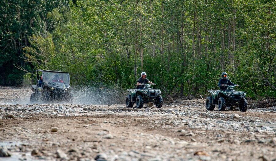 Denali National Park: Wilderness ATV Adventure - Price and Value: What $180 Buys in a Denali ATV Adventure