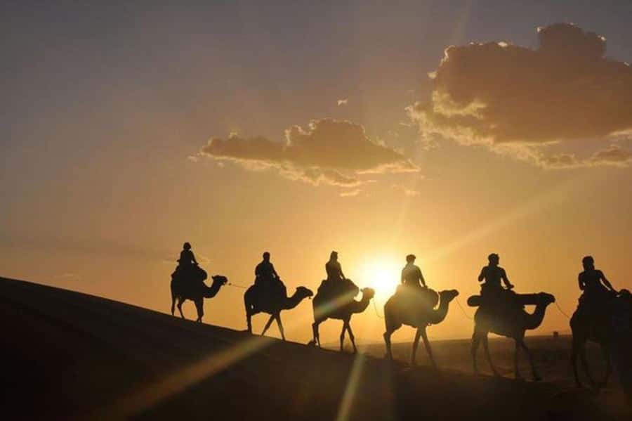 Desert & Beach Quad Adventure With Camel Ride - Quad biking from Agadir’s coast to Takate dunes