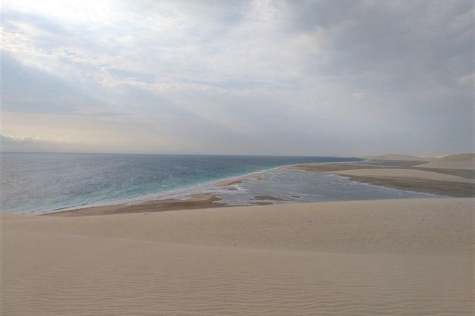 Desert Combo safari, Camel ride, Quad Bike and Dune Bashing(ALL INCLUSIVE) - Camel Ride and Tea Pause: Short, Traditional, and Photo-Friendly
