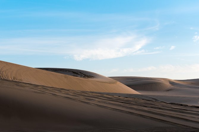 Desert Combo safari, Camel ride, Quad Bike and Dune Bashing(ALL INCLUSIVE) - Inland Sea Views and the Desert Terrain Mix