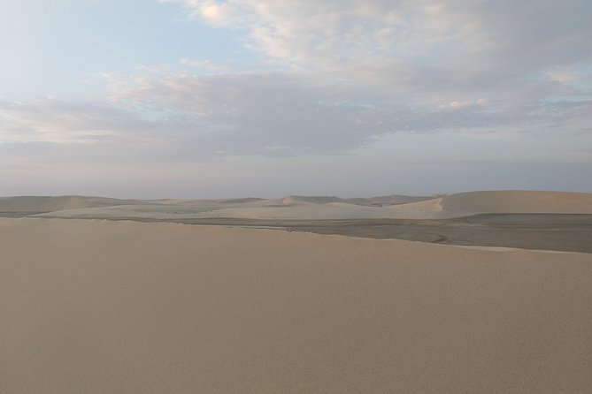 Desert Combo safari, Camel ride, Quad Bike and Dune Bashing(ALL INCLUSIVE) - Getting From Doha to Mesaieed and the Desert Start