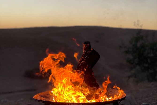 Desert Full Day: Quad, Camel, Dinner & Show or Pool Day and Lunch - Pool time in the Agafay desert: your reset button