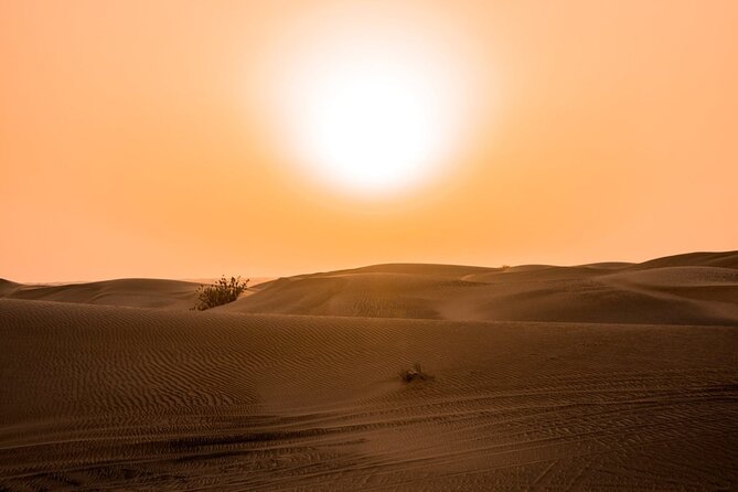 Desert Quad Biking Tour and Sand Boarding with Dinner in Dubai - The Dinner and Live Shows: BBQ Buffet Plus Tanura, Belly Dance, Fire