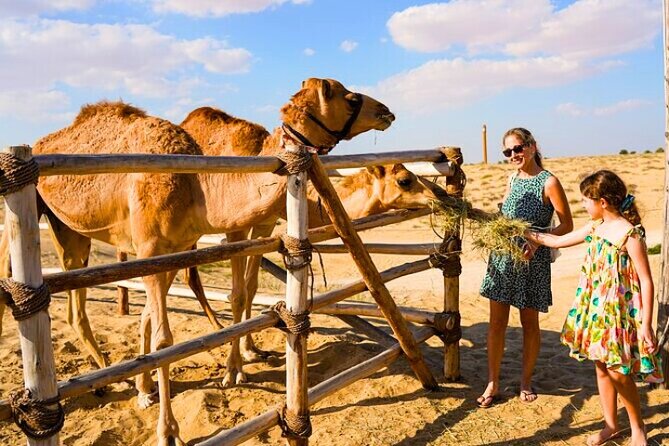 Desert Safari Dubai 30 Mins Quad Bike, Sand Board, Camel Ride BBQ - Price value: what $150 per group buys you