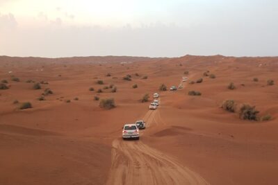 Desert Safari Dubai & Quad Bike with Dinner - Camel ride and sandboarding: the nice break from pure adrenaline