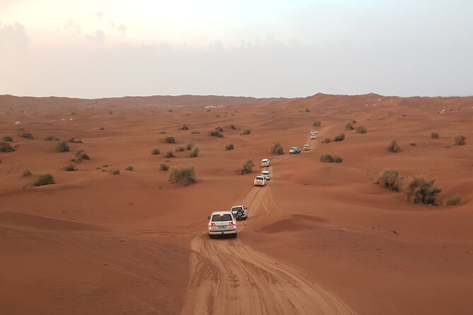 Desert Safari Dubai & Quad Bike with Dinner - Camel ride and sandboarding: the nice break from pure adrenaline