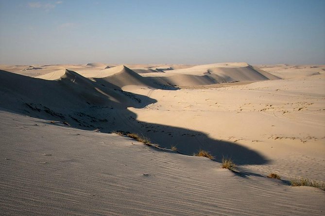 Desert safari, Dune bashing, sandboarding, camel, ATV Option - Camel Ride Reality Check: Brief, Traditional, and Mostly a Photo Moment