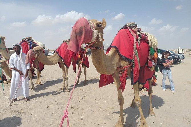Desert safari, Dune bashing, sandboarding, camel, ATV Option - ATV/Quad Biking Option: 30 Minutes of Speed, Often on a Track