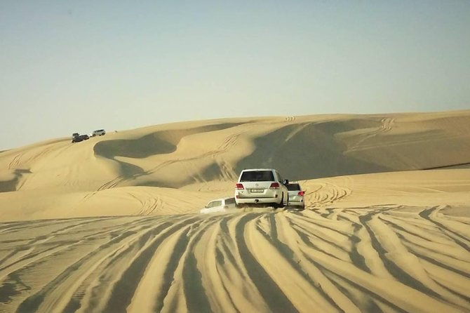 Desert safari, Dune bashing, sandboarding, camel, ATV Option - What You’re Paying For: Value at About $46.55 per Person