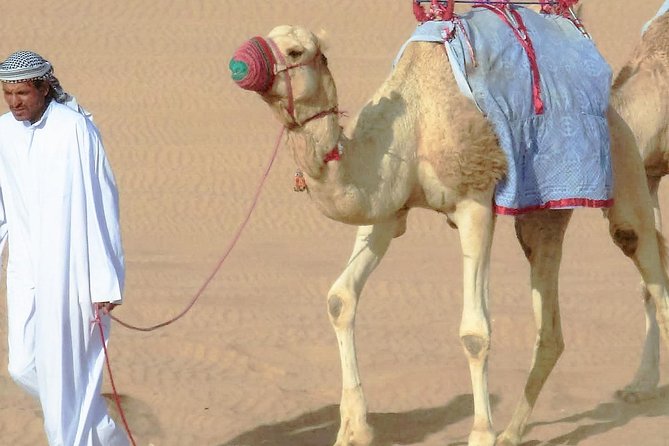 Desert safari, Dune bashing, sandboarding, camel, ATV Option - Sandboarding in Qatar: Easy Setup, Real Adrenaline (Wear Closed-Toe Shoes)