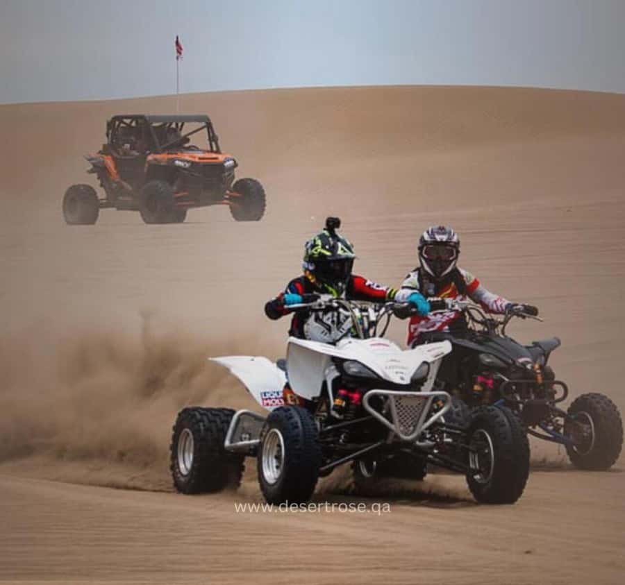 Desert Safari, Quad Bike, Camel Ride, Falcon & Sandboarding - Key highlights worth your attention