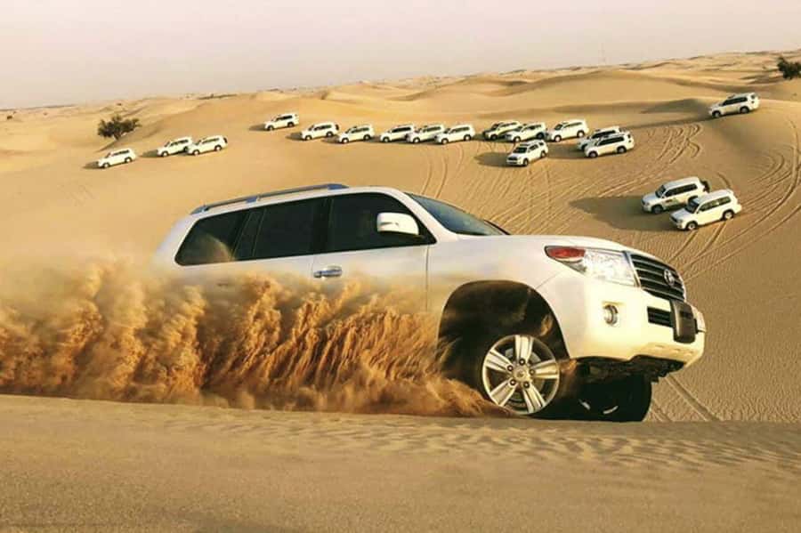 Desert Safari, Quad Bike, Camel Ride, Falcon & Sandboarding - A 4.5-hour desert hit starting in Doha