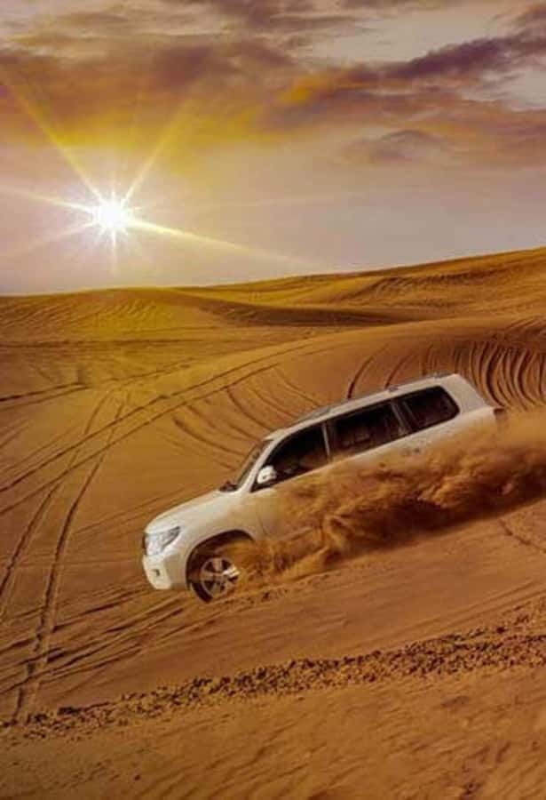 Desert Safari, Quad Bike, Camel Ride, Falcon & Sandboarding - Camel ride and falcon photo: the classic stops with a human side