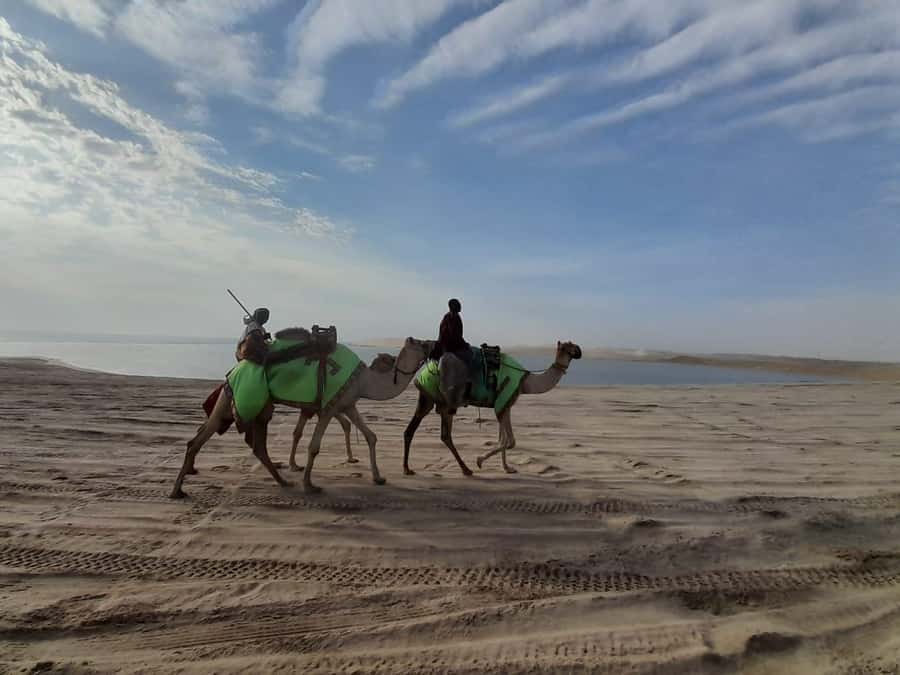 Desert Safari, Quad Bike, Camel Ride, Falcon & Sandboarding - Price and value: what $52 buys in real-life activity terms