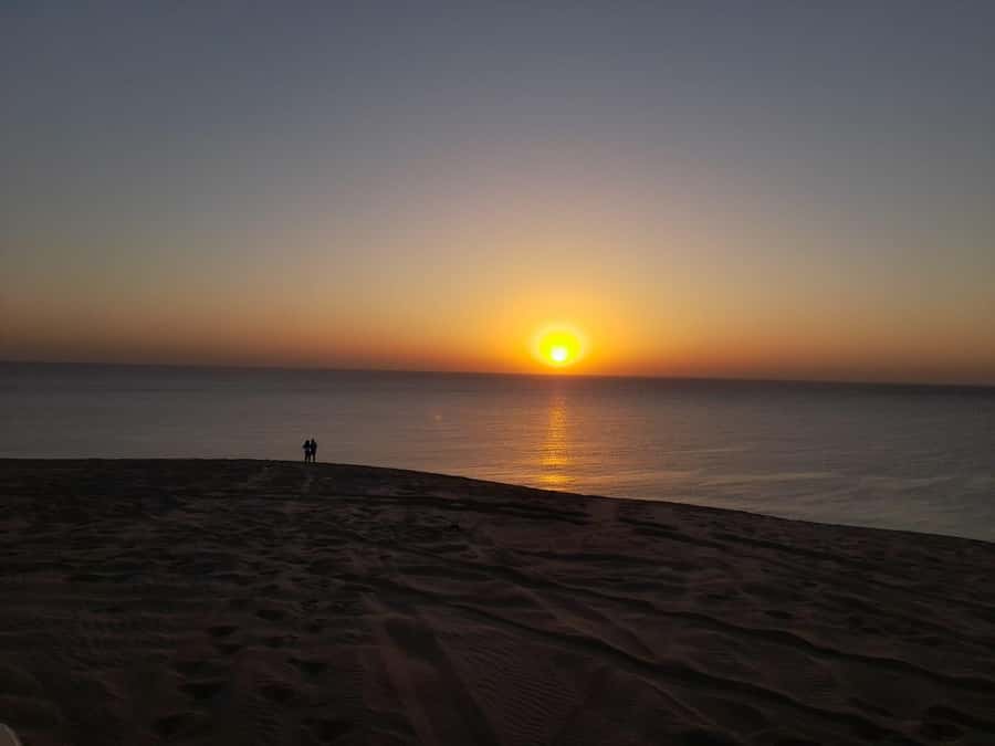 Desert Safari, Quad Bike, Camel Ride, Falcon & Sandboarding - Who should book this safari, and who should skip it
