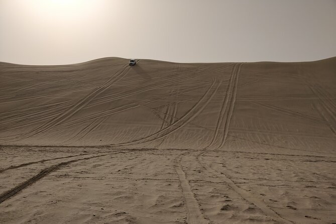 Desert Safari, Quad Bike, Sandboarding and Camel Ride - Who this safari suits best (and who might not love it)