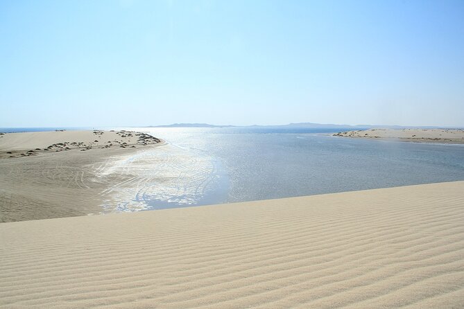 Desert Safari, Quad Bike, Sandboarding and Camel Ride - Price and value: is $100 per person a fair deal?