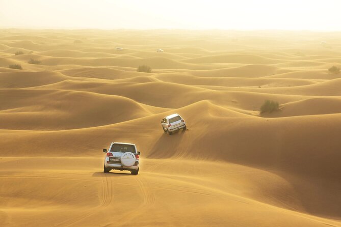 Desert Safari, Quad Biking, Sand Surfing and BBQ Dinner In Dubai - Bedouin Camp Evening: Camel Riding, Tea, Henna, and Restrooms