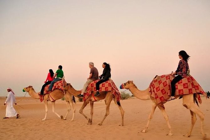 Desert Safari Tour with 30 Minutes Quad bike Ride - Sunset Shows and the BBQ Buffet Dinner You’ll Actually Enjoy