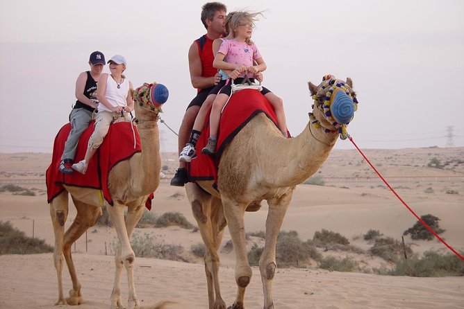 Desert Safari Tour with 30 Minutes Quad bike Ride - Should You Book Desert Safari with Quad Bikes: My Call