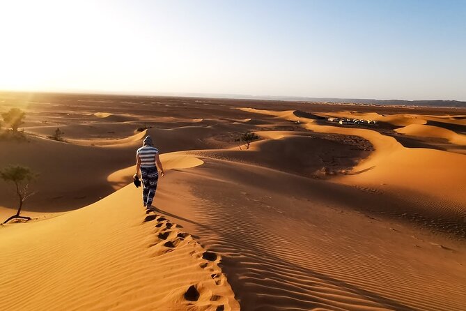 Desert Safari With BBQ Dinner, Quad Ride And And Sand-boarding - Premium Desert Camp in Al Awir: BBQ buffet and the show lineup