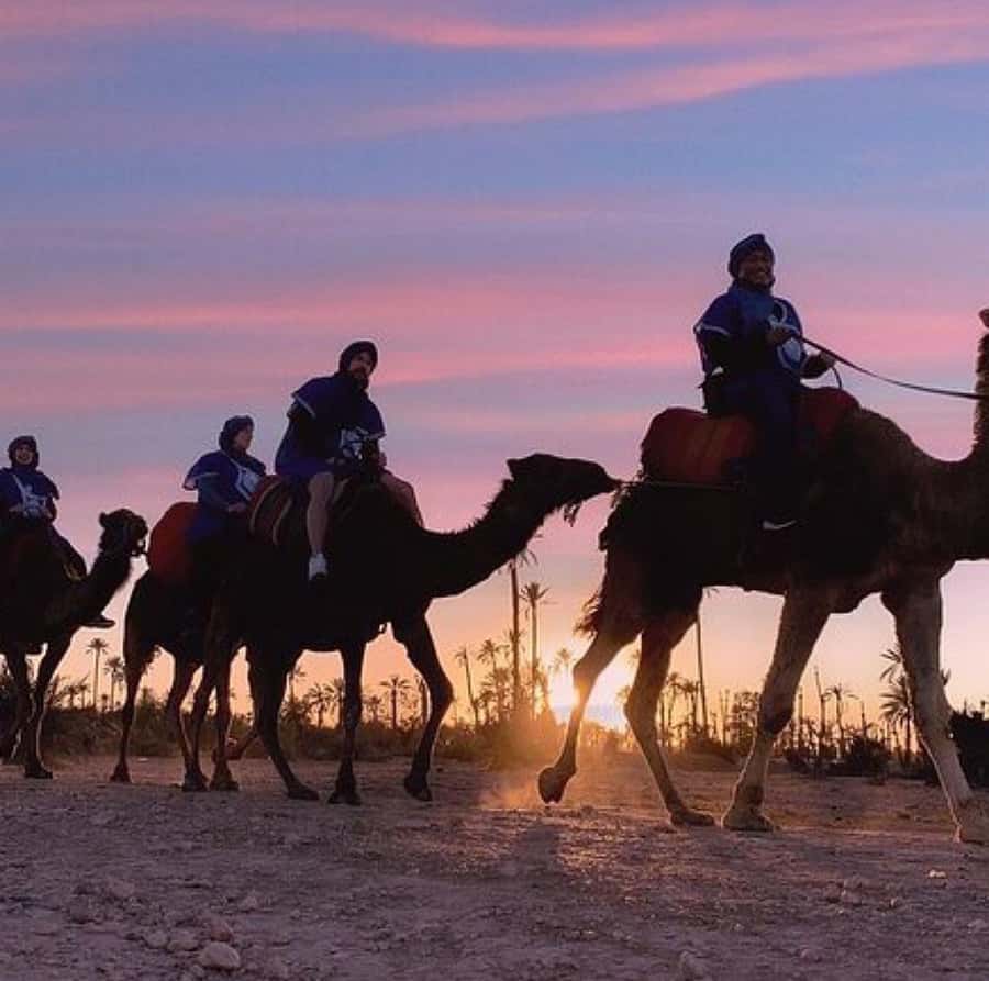 Dinner show in agafay Desert 1h quad bike & 20 min camels - Key things that make this tour worth your time