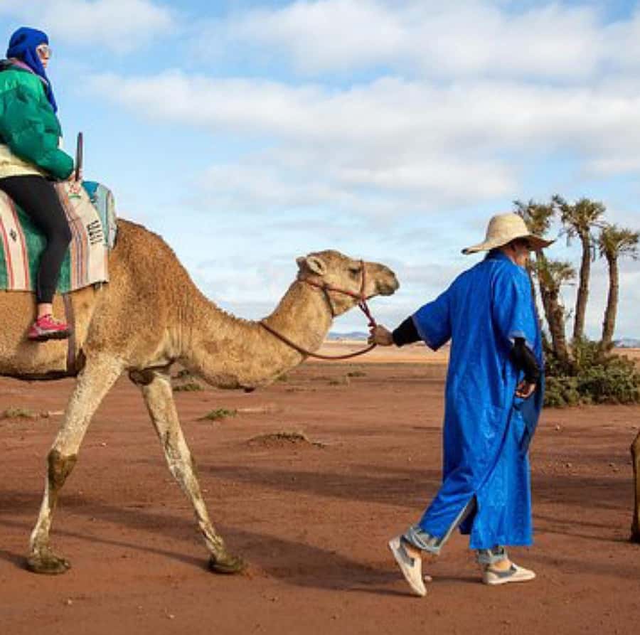 Dinner show in agafay Desert 1h quad bike & 20 min camels - Tea Time and an Argan Cooperative Stop (Optional Feel)