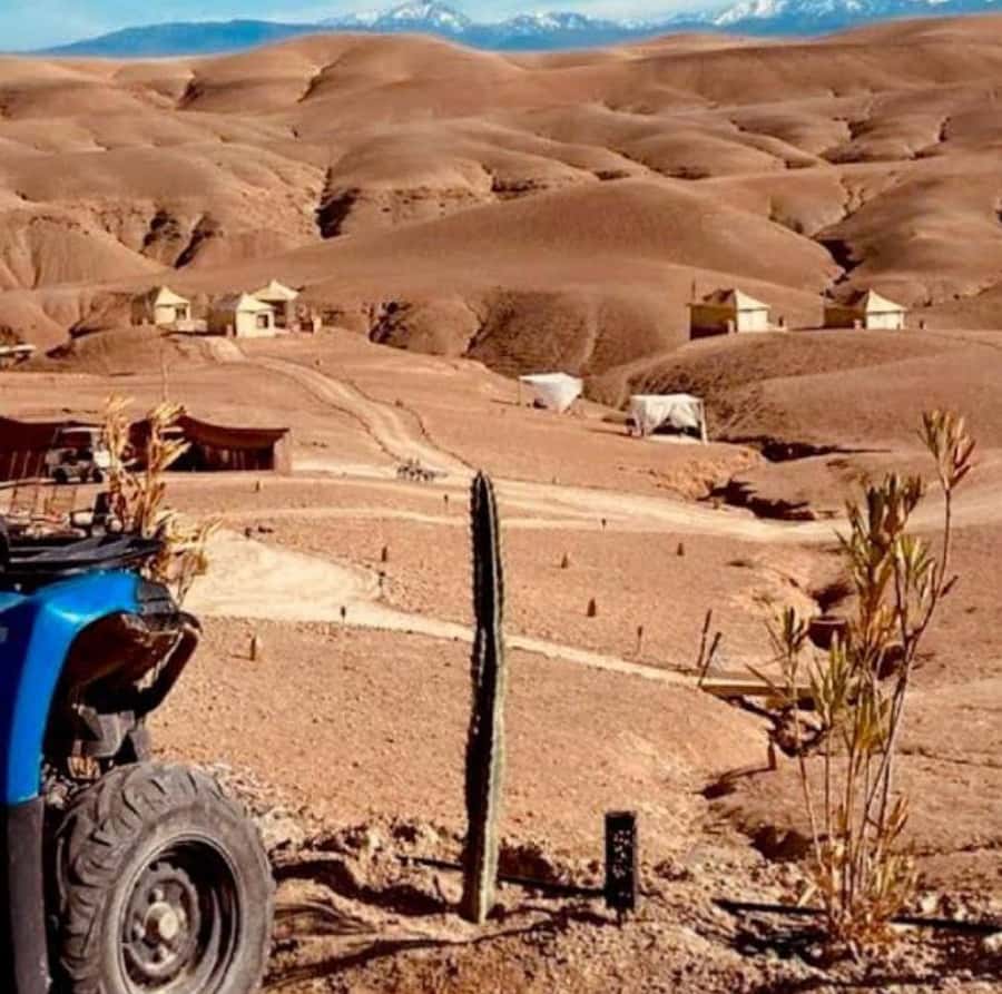 Dinner show in agafay Desert 1h quad bike & 20 min camels - Pickup, Timing, and the Return to Marrakech