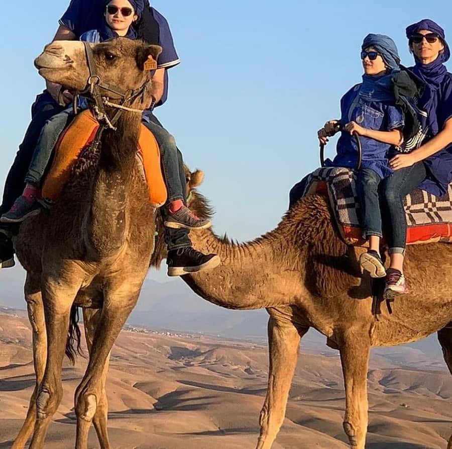 Dinner show in agafay Desert 1h quad bike & 20 min camels - Price and Value: What $21 Actually Buys You