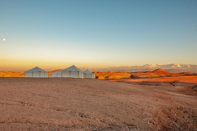 Dinner Show in Agafay Desert with Quad Bike & Camels - Quad biking: the thrill is real, but read the format