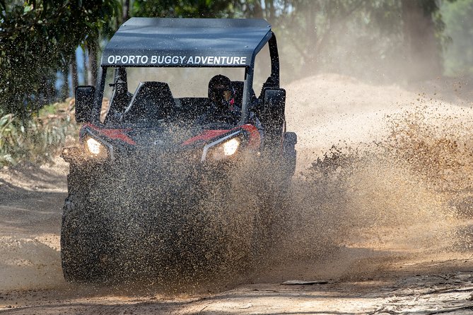 Dirt and Dust Tour by Oporto Buggy - Driving dirt and dust in Northern Portugal, not just around it