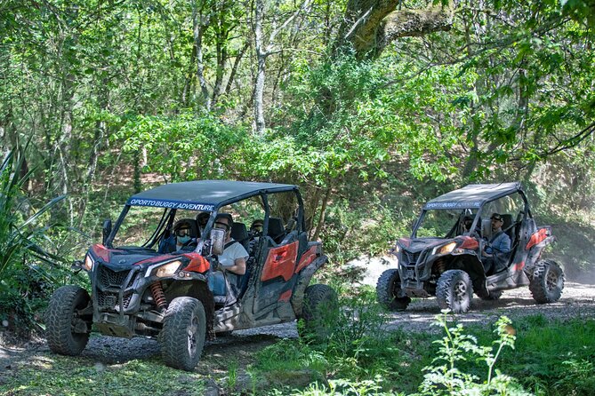 Dirt and Dust Tour by Oporto Buggy - Small group size and the guide’s role on the route