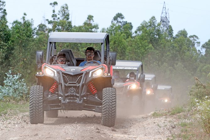 Dirt and Dust Tour by Oporto Buggy - Price, duration, and whether $96.55 is worth it