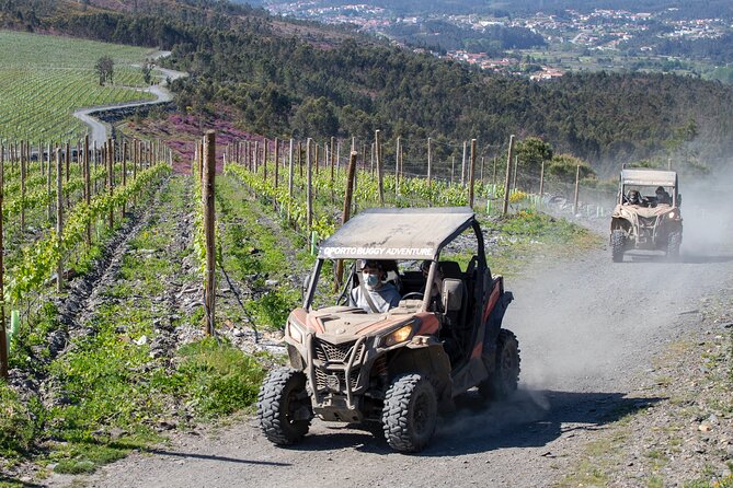 Dirt and Dust Tour by Oporto Buggy - Who should book this buggy tour (and who should think twice)