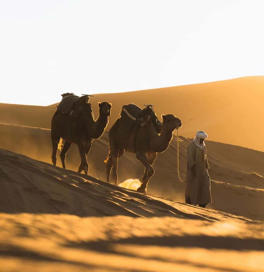 Doha: ATV/Desert Safari with Activities and Inland Sea Stop - Camel Caravan Ride: Slow Down and Let the Desert Land