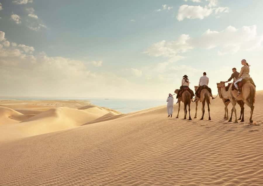 Doha:ATV,Quad or Buggy Dune Bashing,CamelRide & Sandboarding - Who This Tour Is Best For (and Who Might Want Another Option)
