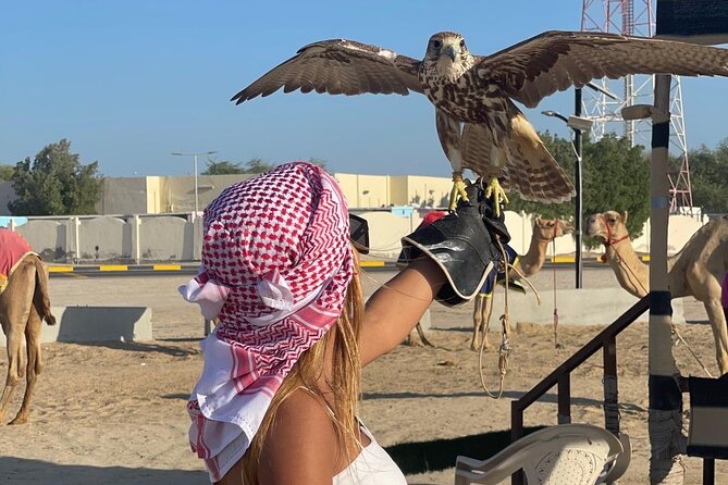 Doha Desert Safari Camel Ride Dune Bashing and ATV Bike - Price and value: what $75 buys you in real terms