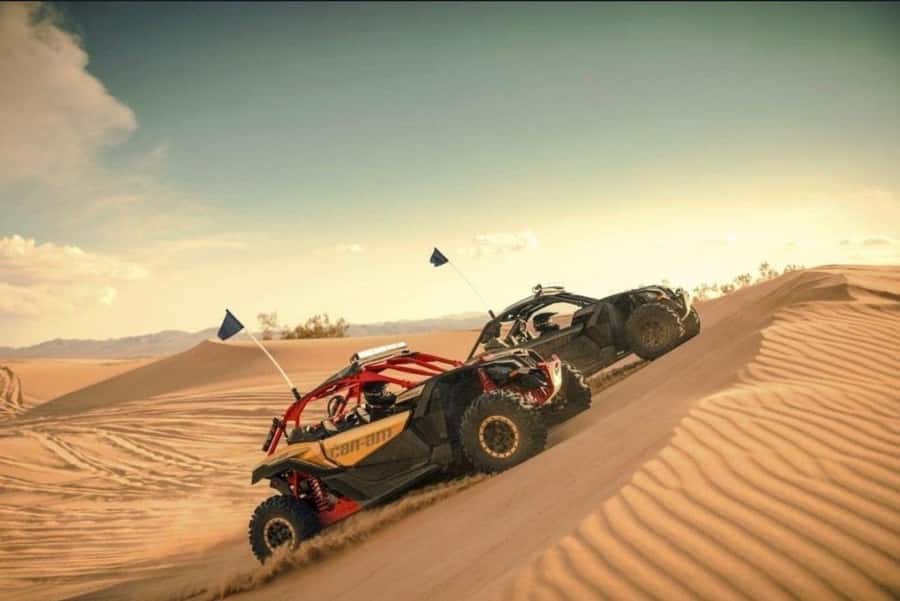 Doha: Desert Safari, Quad Bike, Camel Ride & Inland Sea Tour - The Inland Sea (Khor Al Adaid) stop: why it feels special