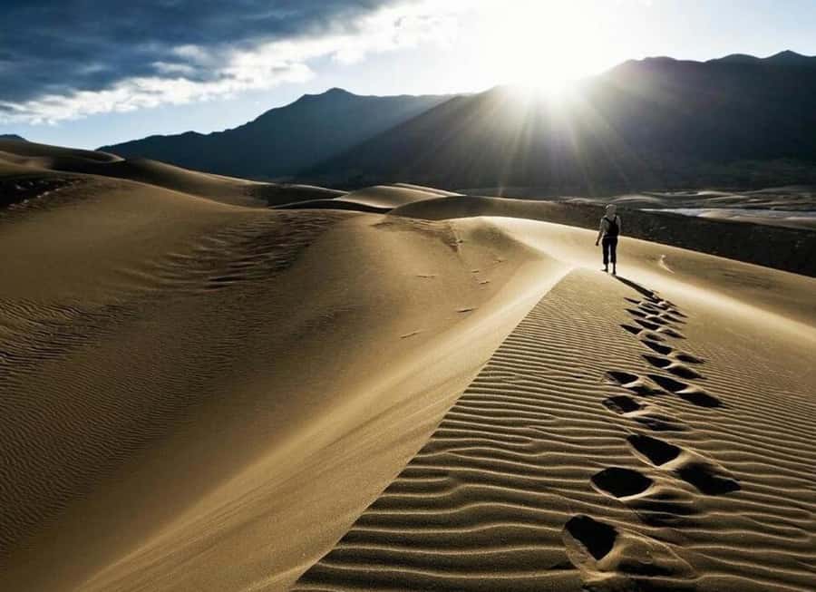 Doha: Desert Safari, Quad Biking, Sand Boarding & Camel Ride - Key highlights to look for
