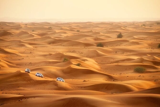 Doha: Desert Safari With Quad bike ,Camel Ride And Sand Boarding - Khor Al Adaid Inland Sea: UNESCO Water Where It Shouldn’t Be