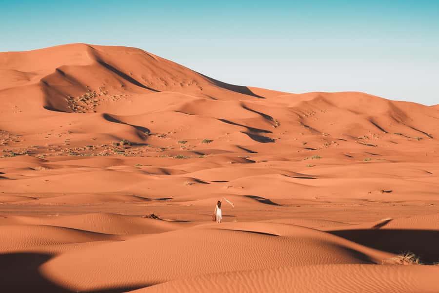 Doha: Desert Safari with Quad Bike, Sandboard & Camel Ride - The Inland Sea Finale by the Saudi Border: Why the End Matters