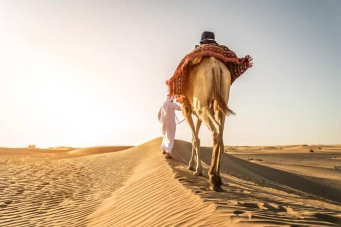 Doha Qatar ATV Quad Bike Buggy Desert Adventure and Camel Ride - Sealine Beach Stop: Dune Bashing, Photos, and Sandboarding