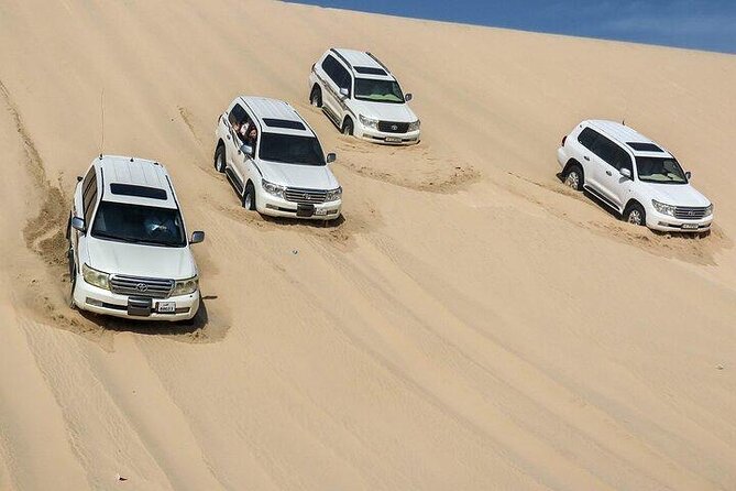 Doha Qatar ATV Quad Bike Buggy Desert Adventure and Camel Ride - Who Should Book This Desert Adventure (and Who Might Not)